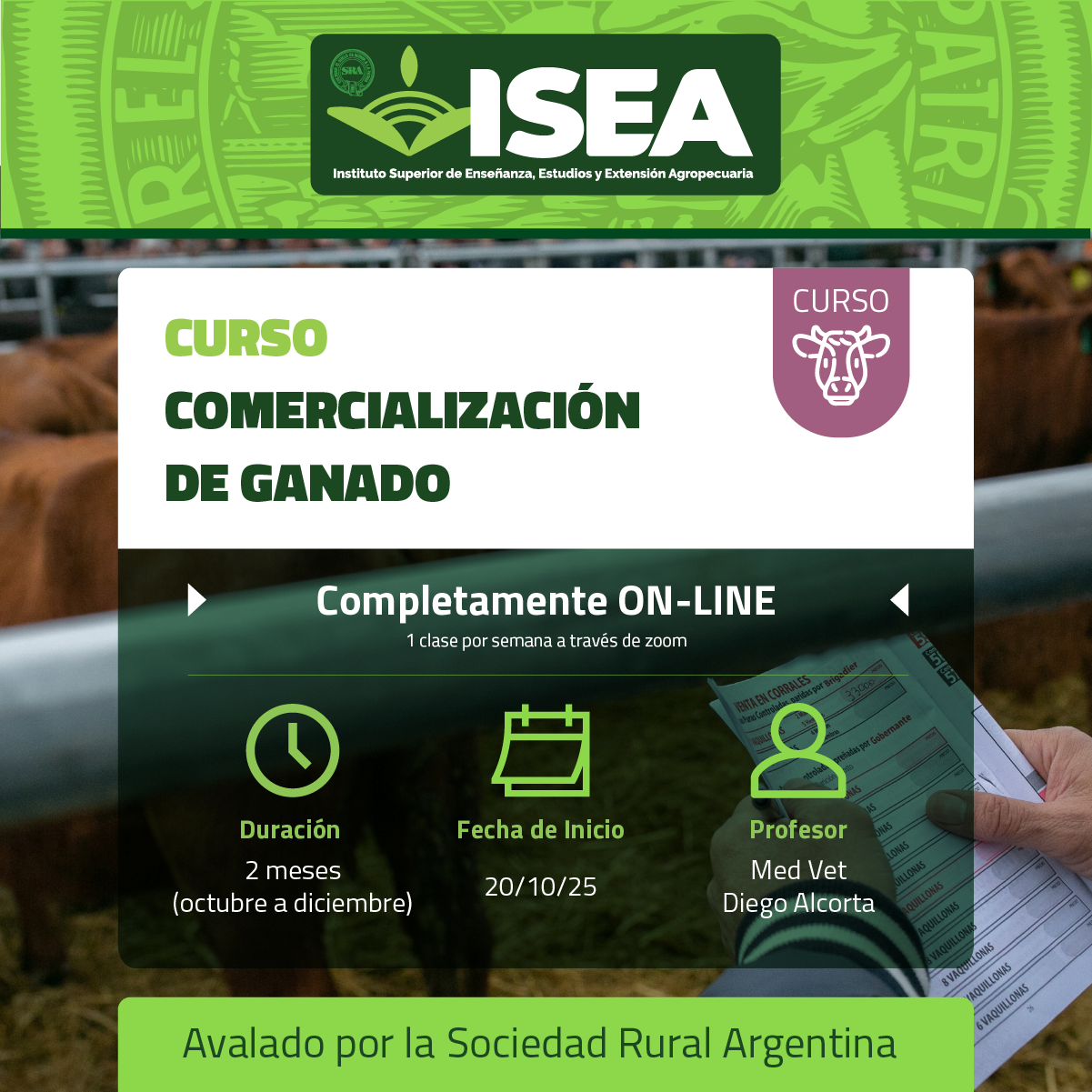 Comercialización de Ganado Bovino