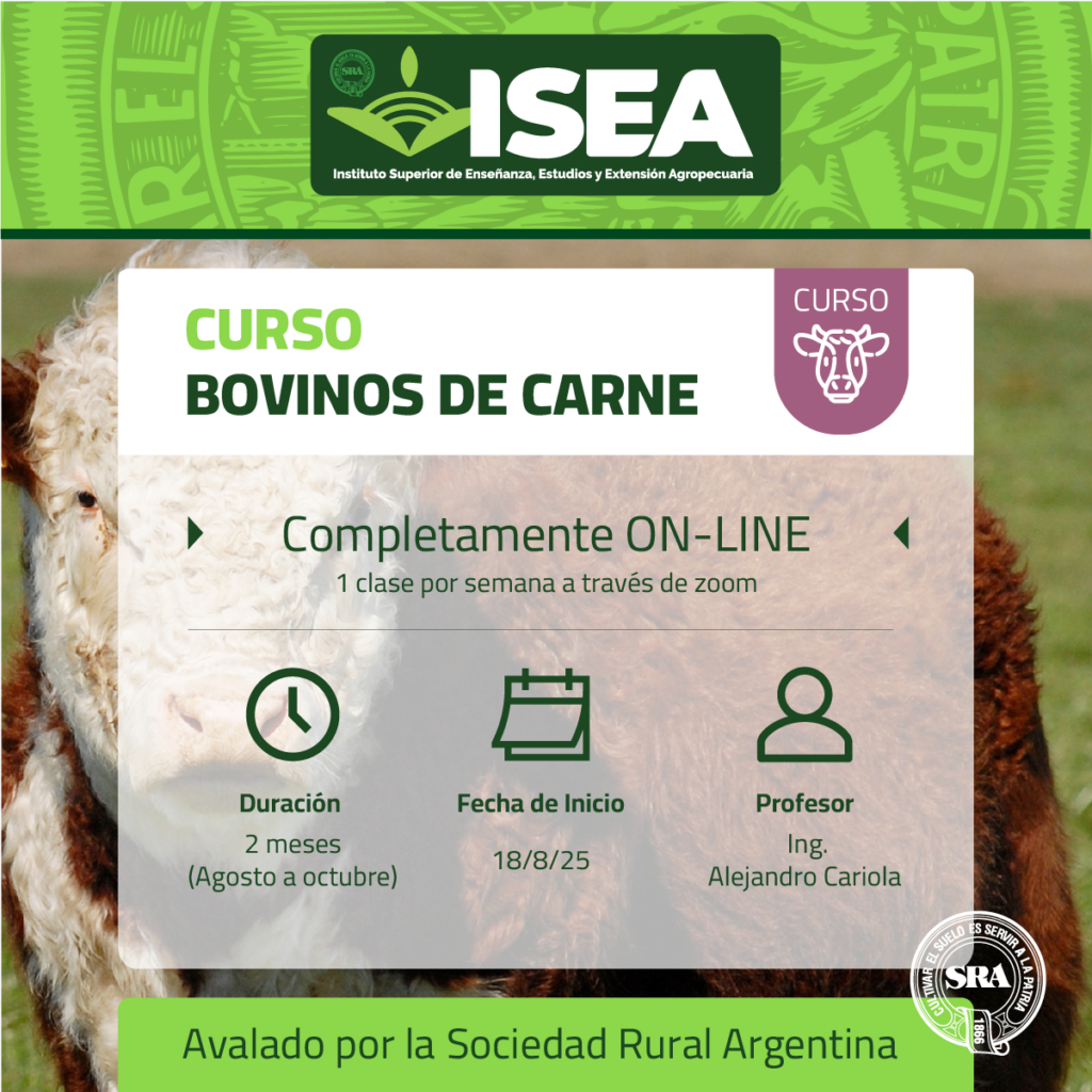 Bovinos de Carne Bovinos de Carne